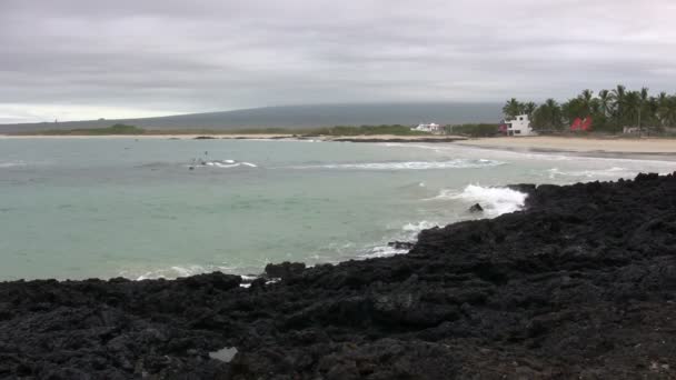 Isola Isabela Isole Galapagos Ecuador — Video Stock