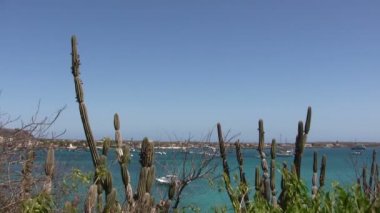 San Cristobal Adası, Galapagos Adaları, Ekvador