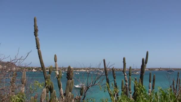 厄瓜多尔加拉帕戈斯群岛San Cristobal岛 — 图库视频影像