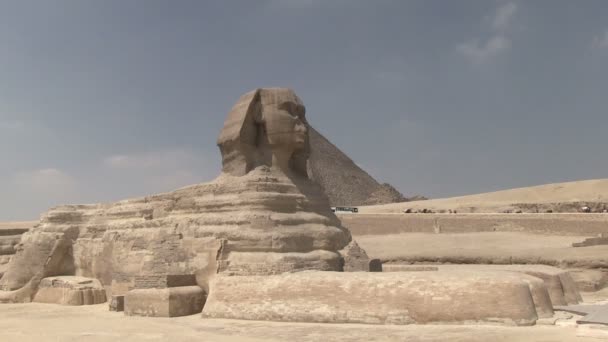 View Sphinx Giza Egypt — Stock Video