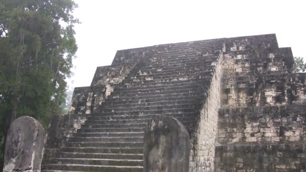 Tikal Ulusal Parkı Guatemala — Stok video