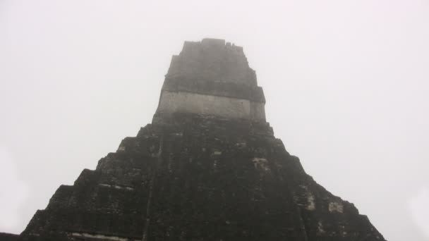 Tikal National Park Guatemala — Stock Video