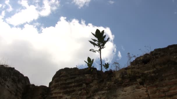 Άποψη Της Αντίγκουα Γουατεμάλα — Αρχείο Βίντεο