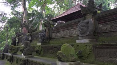 Pura Dalem Agung Tapınağı, Maymun Ormanı, Bali, Endonezya