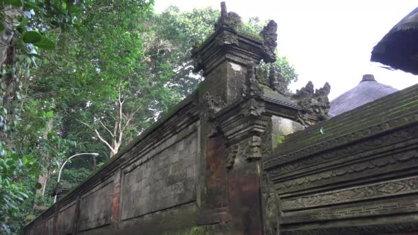 Pura Dalem Agung Temple Monkey Forest Μπαλί Ινδονησία — Αρχείο Βίντεο