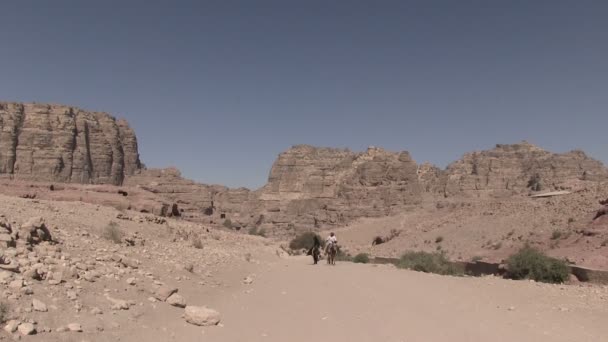 Petra Sept 2012 Petra Jordania — Vídeo de stock