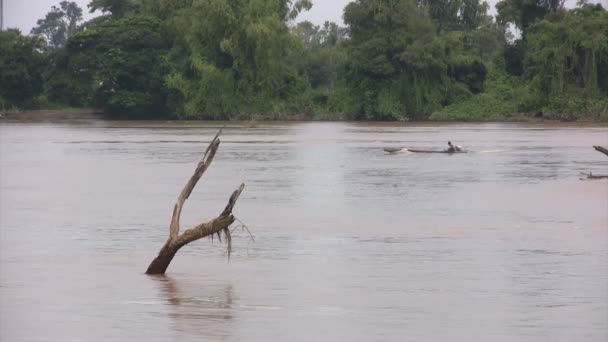 Mekongfloden Don Det Laos — Stockvideo