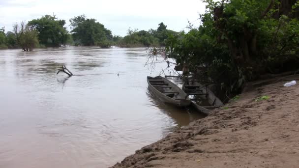 Mekong Nehri Don Dedektif Laos — Stok video