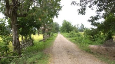 Don Det 'in Manzarası, Laos