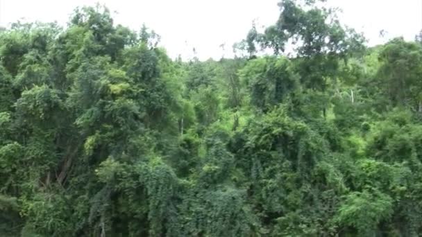 Río Mekong Luang Prabang Laos — Vídeo de stock