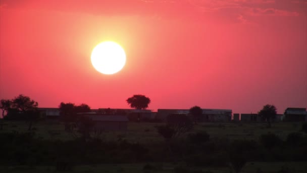 Masai Mara Paisagem Quênia — Vídeo de Stock