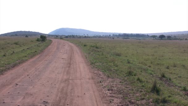 Masai Mara Paisagem Quênia — Vídeo de Stock