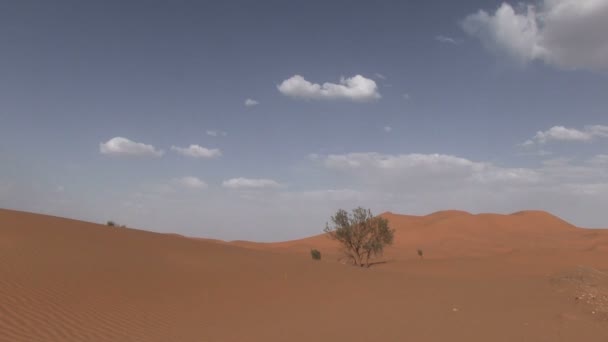 Sahara Desert Landscape Morocco — Stock Video