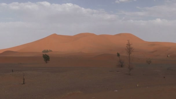 Sahara Desert Landscape Maroc — Video