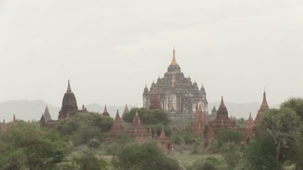 Blick Auf Bagan Myanmar — Stockvideo