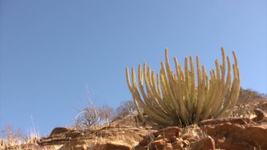 Namib Çölü manzarası, Namibya
