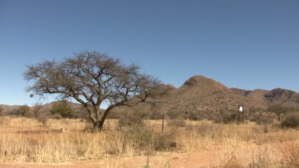 Namibská Pouštní Krajina Namibie — Stock video