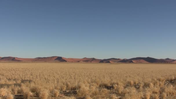Namib Paesaggio Del Deserto Namibia — Video Stock
