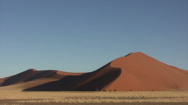 Namib Paysage Désertique Namibie — Video