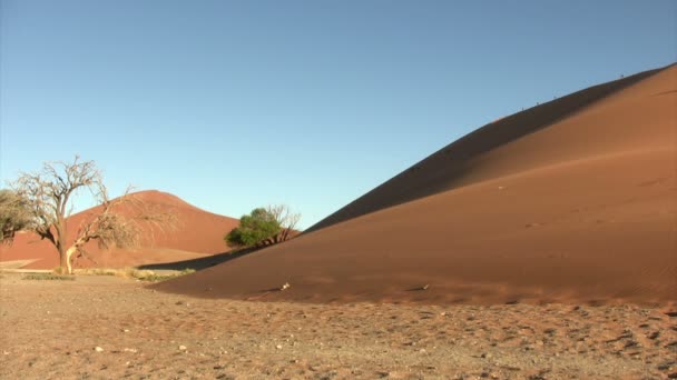 Namib Paesaggio Del Deserto Namibia — Video Stock