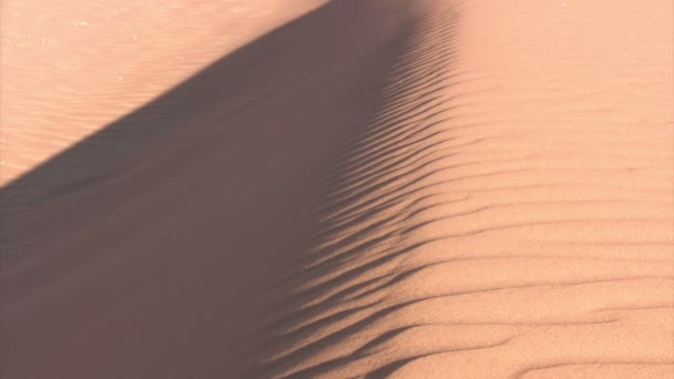 Pustynia Namib Namibia — Wideo stockowe