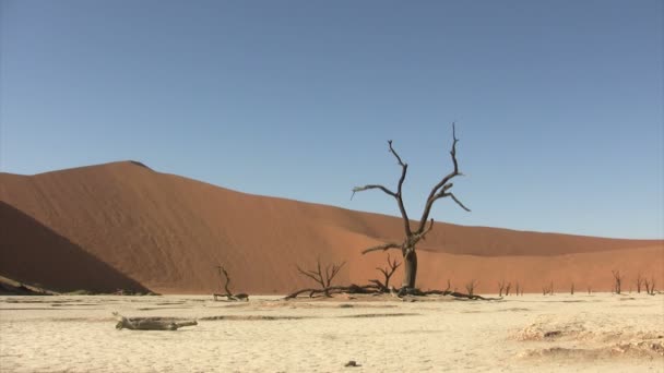 Namib Paesaggio Del Deserto Namibia — Video Stock