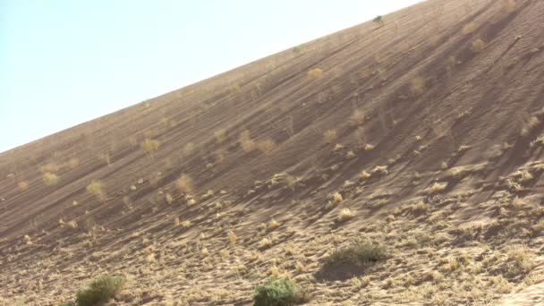 Namib Paesaggio Del Deserto Namibia — Video Stock