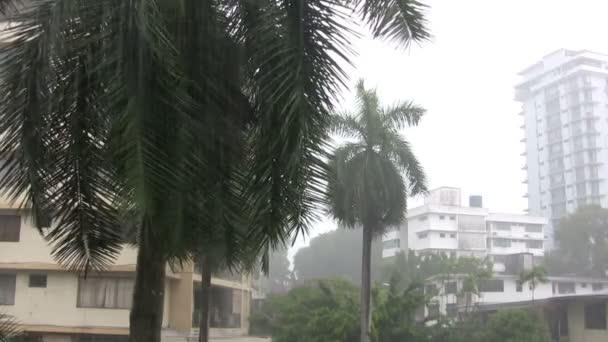 Squall Panama Ville Panama — Video