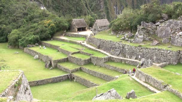 Pemandangan Machu Picchu Peru — Stok Video