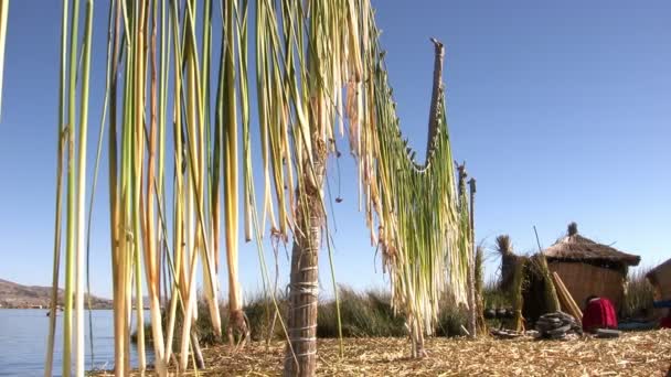 Pulau Uros Isla Los Uros Danau Titicaca Peru — Stok Video