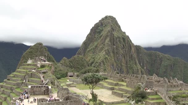 Utsikt Över Machu Picchu Peru — Stockvideo