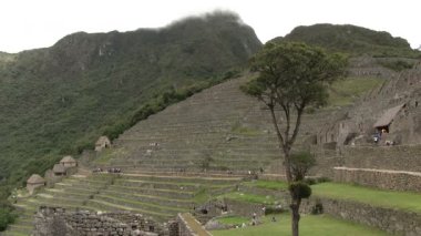 Machu Picchu, Peru Görünümü