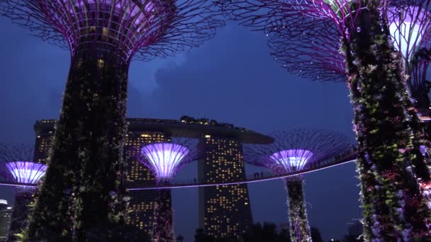 Paisaje Singapur Edificio Negocios Alrededor Marina Bay — Vídeos de Stock