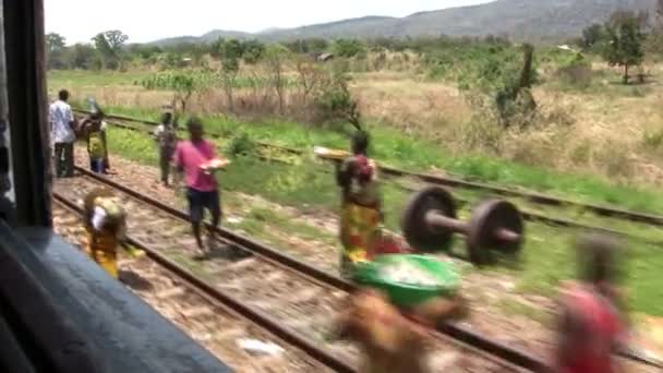 タザラ鉄道 2007年9月11日 タンザニア タザラ鉄道 — ストック動画