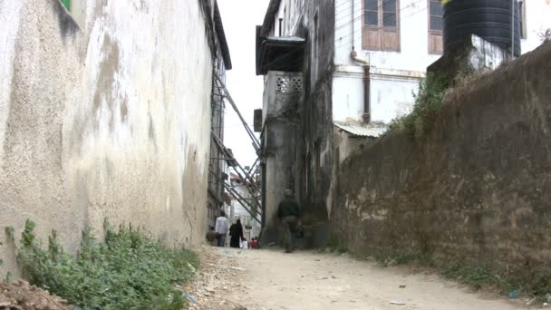Stone Town Isola Zanzibar Tanzania — Video Stock