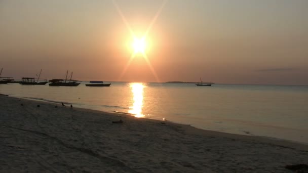 Stone Town Île Zanzibar Tanzanie — Video