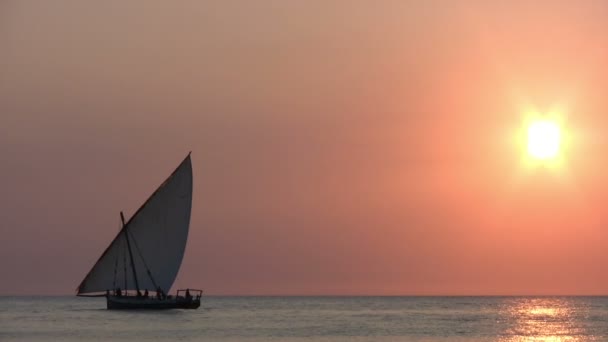 Stone Town Île Zanzibar Tanzanie — Video