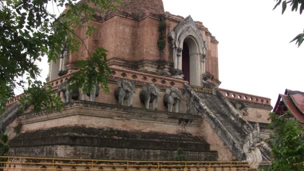 Wat Chedi Luang Chiang Mai Tailândia — Vídeo de Stock