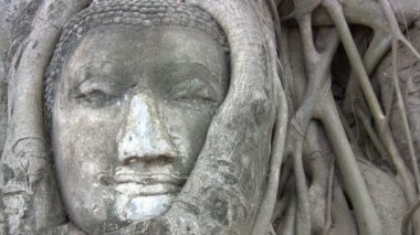 Ne mahathat, ayutthaya, thailand