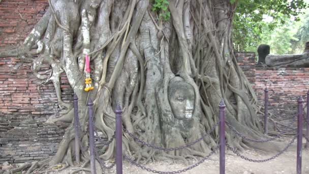 Wat Mahathat Ayutthaya Thailanda — Videoclip de stoc