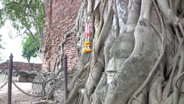 Wat Mahathat Ayutthaya Thailand — Stockvideo