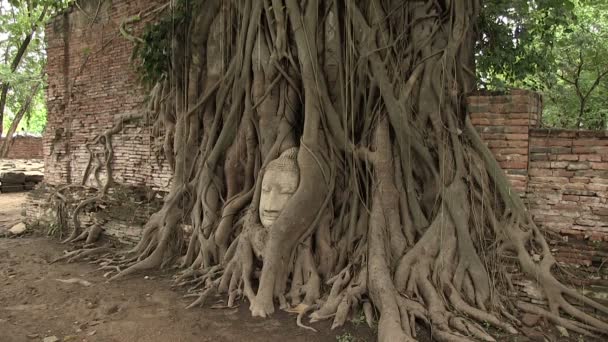 Wat Mahathat Ayutthaya Thailand — Stockvideo