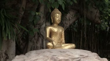 Chiang Mai, Tayland manzarası