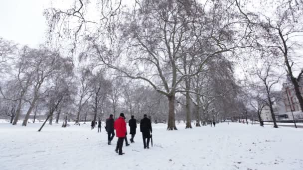 Hyde Park Londyn Wielka Brytania — Wideo stockowe