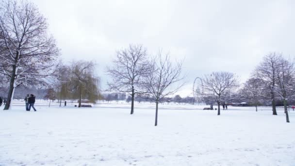 Hyde Park Londra Regno Unito — Video Stock