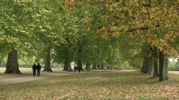 Hyde Park Londyn Wielka Brytania — Wideo stockowe