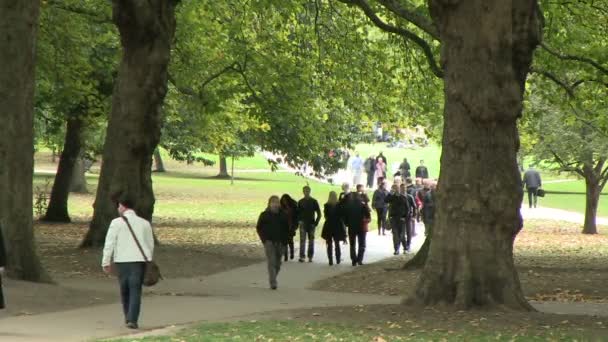 ロンドン 2011年10月17日 イギリス ロンドンのグリーンパーク — ストック動画
