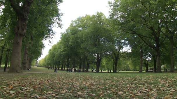 イギリス ロンドンのグリーンパーク — ストック動画