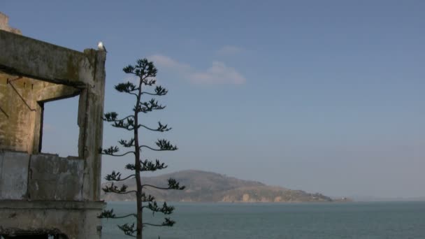 Alcatraz Island San Francisco Amerikai Egyesült Államok — Stock videók