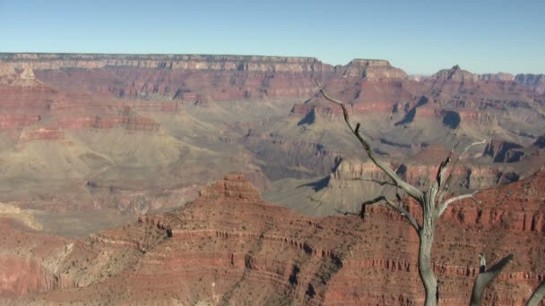 Grand Canyon Ηνωμένες Πολιτείες — Αρχείο Βίντεο